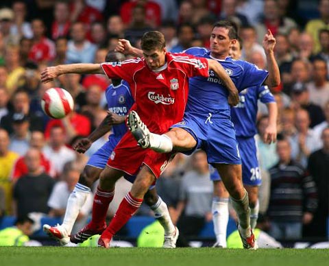 他们不仅可 他们不仅可